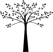 Como Dibujar Un Arbol Con Ramas Archivos Enterate Aqui