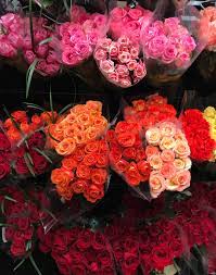 How much is memory of youth in store? Flower Flowers Rose Roses Pink Lightpink Red Darkred Bouquet Bouquets Kroger Store Aesthetic Beautiful Nature Love Sweet
