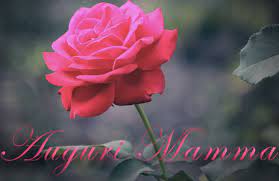 Ecco 10 fiori da regalare per la festa della mamma! Frasi Di Buona Festa Della Mamma Bellissime E Immagini Di Fiori