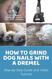 Get your dog used to you handling their paws. How To Grind Dog Nails With A Dremel Video Tutorial Doodle Doods