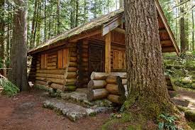 No doubt he doesn't need electricity or indoor plumbing. 10 Diy Log Cabins Build For A Rustic Lifestyle By Hand Craft Keep