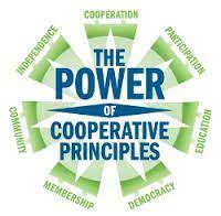 7 cooperative principles cooperative principle cooperative economics cooperation