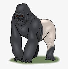 Maybe you would like to learn more about one of these? Download Free Printable Clipart And Coloring Pages Silverback Gorilla Clip Art Free Transparent Png Download Pngkey