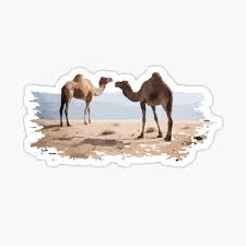 If you have a few years of experience in the java ecosystem, and you're interested in sharing that experience with the community (and getting paid for your work of course), have a look at the write for us page. Camel Bird Stickers Redbubble