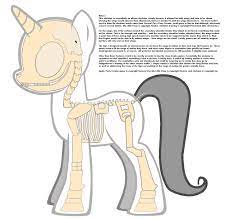 Pony Skeleton by Prismwind -- Fur Affinity [dot] net