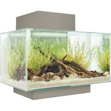 15386 Fluval Edge Aquarium 23l Pewter 1w400 H400 Png 400 400 Aquarium Set Tropical Fish Tanks Planted Aquarium