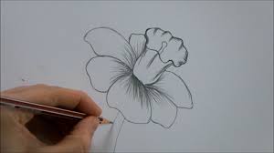 Vorresti realizzare un bel disegno a matita ma non sai da dove iniziare? Fiori Facili Da Disegnare Schizzo A Matita Fiore Con Petali Tutorial Per Disegnare Fiori Disegno Di Fiori Schizzo A Matita