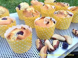 Recettes Avec Noix Du Bresil Fruits Secs Du Web Noix Du Bresil Muffins Aux Myrtilles Et Noix Du Bresil Muffins Myrtilles Noix Du Bresil Myrtille