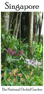 Singapore Travel Tips Singapore Travel Singapore Travel Tips Singapore Garden