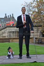 Mark john stafford, lego set designer said he's been a spidey fan since a young age. 1 849 Tallest Man Photos Free Royalty Free Stock Photos From Dreamstime