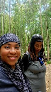 Is the forest muddy today?