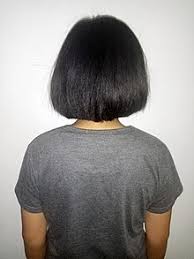 Like most buzz cuts, butch cuts are incredibly easy from a grooming point of view. Short Hair Wikipedia