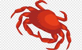 Ini dia persiapan yang harus anda lakukan untuk memulai budidaya. Menggambar Kepiting Dungeness Bahan Kepiting Bahan Png Krustasea Hewan Png Pngwing