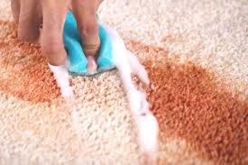 With a toddler around the house, there is a high chance of having an unnoticed vomit mark on a carpet for a long time. How To Get Foundation Stains Out Of Carpet