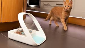 Bergan petite gourmet gravity cat feeder & water fountain best timed cat feeder: Surefeed Microchip Pet Feeder Gadget Flow