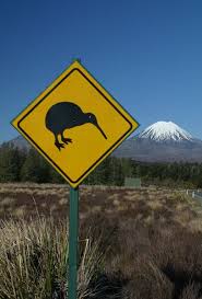Pin By Corrie Kruger On Road Signs New Zealand In 2020 Taupo New Zealand North Island