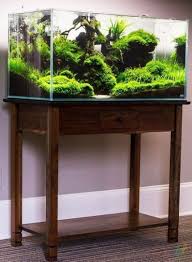 Aquascape Aquarium Design Ideas 27 Aquascaping Akvaryum Susleri Planted Aquarium