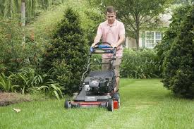 This feature allows for two different operating handle heights. Best Self Propelled Lawn Mower Reviews 2021 Pro Tool Reviews