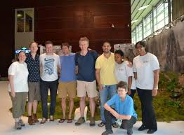 Image result for Exochaenium grande