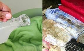 衣服 棉被發霉不用丟 簡單幾招教你去除黴菌 太有效了 快來試試 facebook like house cleansing natural living food