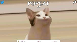 หากถามว่า popcat นั้นได้รับความนิยมขนาดไหน แม้แต่ freddy heppell หนึ่งในผู้พัฒนาเกมนี้ยังรู้สึกเซอร์ไพรส์ เมื่อ popcat เป็นเหมือน side project ที่พวกเขาทำขึ้นมาเล่น. Cxjfxwbssithlm