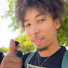 Redizo: albums, songs, concerts