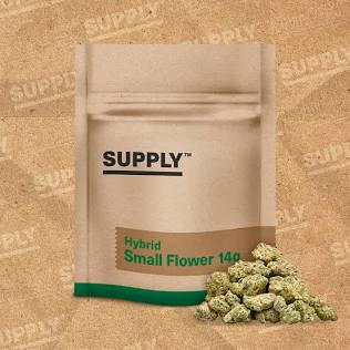 Slow N Sweet 14g Small Buds | Curaleaf Erie, PA | Medical Cannabis