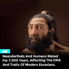 No it's Neanderthals & Sapiens, cos they were humans too.