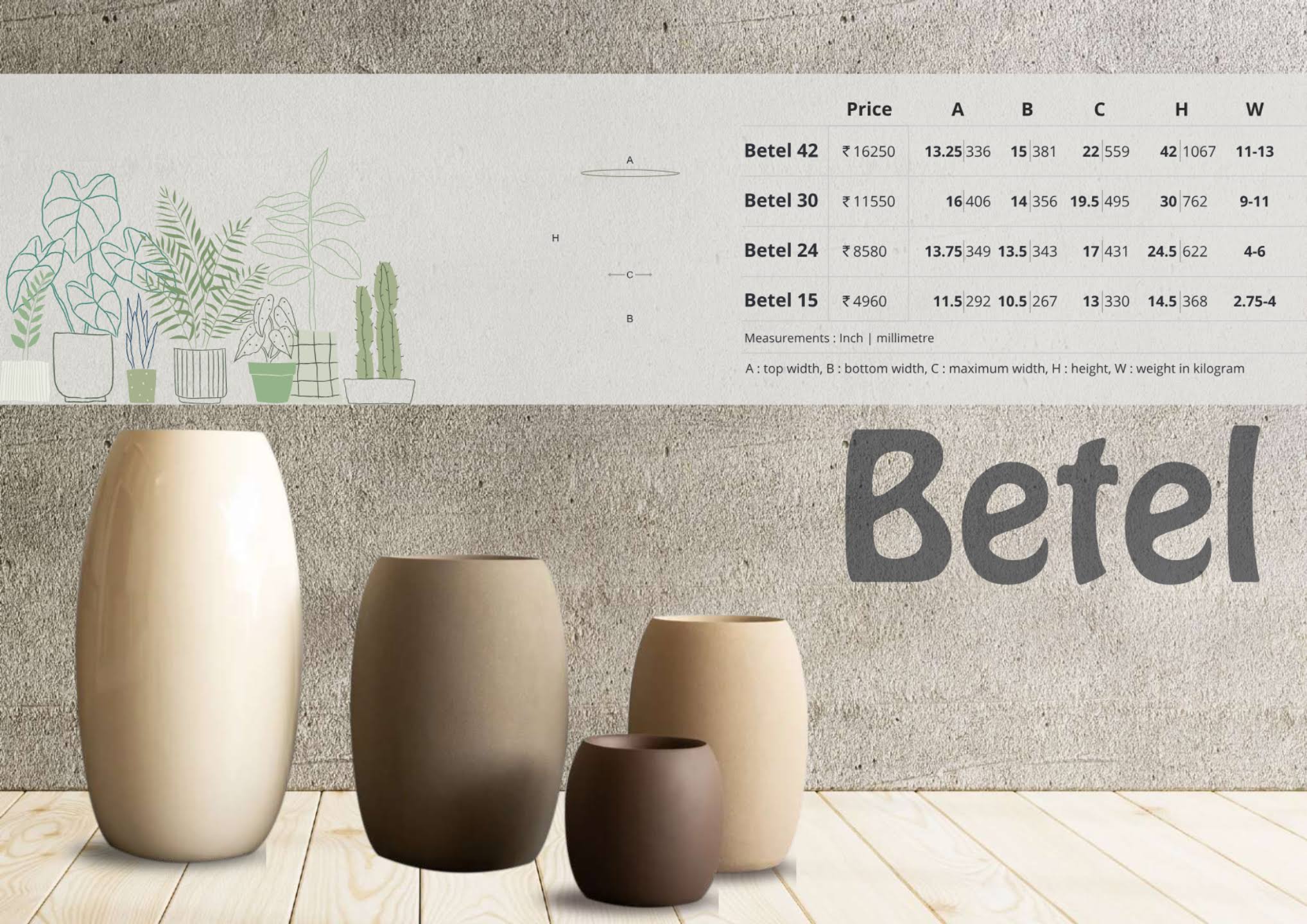 Betel - 15: to 24" product image