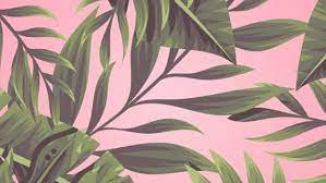 Digital Zoom Background Pink Palm Etsy Iphone Background Pink Floral Wallpaper Iphone Bright Background