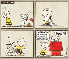 7 Reasons Snoopy Is The Best Representation Of A Beagle Watch online and download the charlie brown and snoopy show cartoon in high quality. 7 reasons snoopy is the best