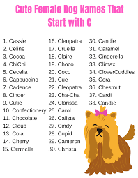 Charlie, christopher, cooper, and crawford are just some examples of the hundreds of strong baby boy names on this list. Dog Names That Start With C For Girl And Boy Dog
