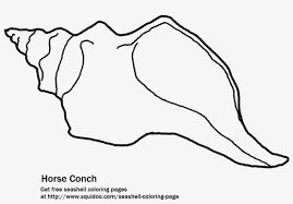 In case you don\'t find what you are looking for, use the top search bar to search again! The Florida Horse Conch Printable Coloring Page Seashell Transparent Png 905x586 Free Download On Nicepng