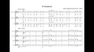 Image result for Faroa salutaris