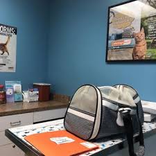 Lisateavet trinity pet hospital kohta leiate veebisaidilt trinitypethospital.net. Pet First Veterinary Hospital 13 Reviews Veterinarians 2114 Seven Springs Blvd Trinity Fl Phone Number Yelp
