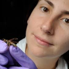 Amy Toth's Instagram, Twitter & Facebook