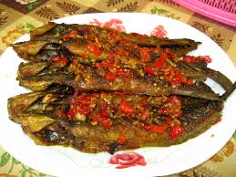 Pembeli keli, import dan eksport hubungi kami segera!! Resepi Ikan Tawar Goreng Pawtaste Com