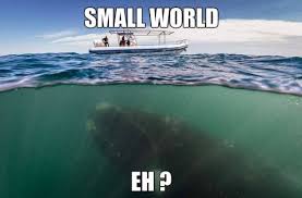 Image result for hi meme