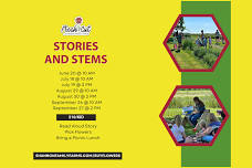 Stories and Stems — Fresh Cut by Shannon Family Farms