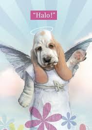 Pin On My Basset Hound Illustrations