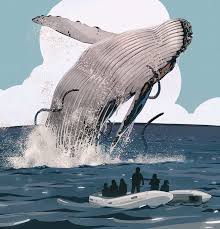That means they can be quite reliably met at a certain place at a certain time. What It S Like To Free Entangled Humpback Whales Scuba Diving
