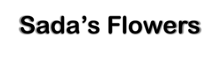 No vandalism of city property (ccmc § 9.10.200), including affixing devices or equipment to benches to no climbing, cutting, breaking, defacing or disturbing any tree, shrub, plant or flower within any parkway or other. Culver City Florist Flower Delivery By Sada S Flowers
