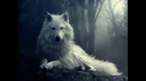 Wolf head emblem gray wolf head emblem. Wolf Hd Wallpapers Youtube