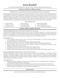project manager resume  resume cv