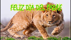 Felicitaciones para papá la celebración del día del padre que en muchos países es el 20 de junio del 2021 y en españa es el 19 de marzo, es una ocasión para pensar en nuestro papá o los padres que conocemos y felicitarlos por este hermoso rol que tienen en la crianza. Frases Para El Dia Del Padre Cortas Y Bonitas Feliz Dia Del Padre Hermano Amigo Youtube