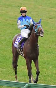 【弥生賞ディープインパクト記念】朝日杯FS3着アドマイヤクワッズ