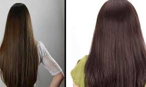 Isolated on black background. can be used for personal and commercial purposes according to the conditions of the. I Have Dull And Damaged Hair I Want To Know How To Care For Dry Undernourished Hair
