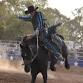 Katamatite Rodeo event image