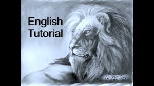 Easy Lion Drawing For Beginners Graphite Pencil Youtube Lion Drawing 3d Drawings Animal Drawings
