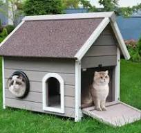 Les meilleures maisons d'extérieur pour chats : nos 6 ...